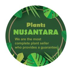 NUSANTARA PLANTS