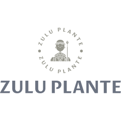 ZULU PLANTE